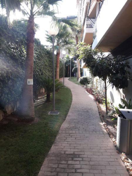 Mi Casa Es Tu Casa Gandia Daire Dış mekan fotoğraf